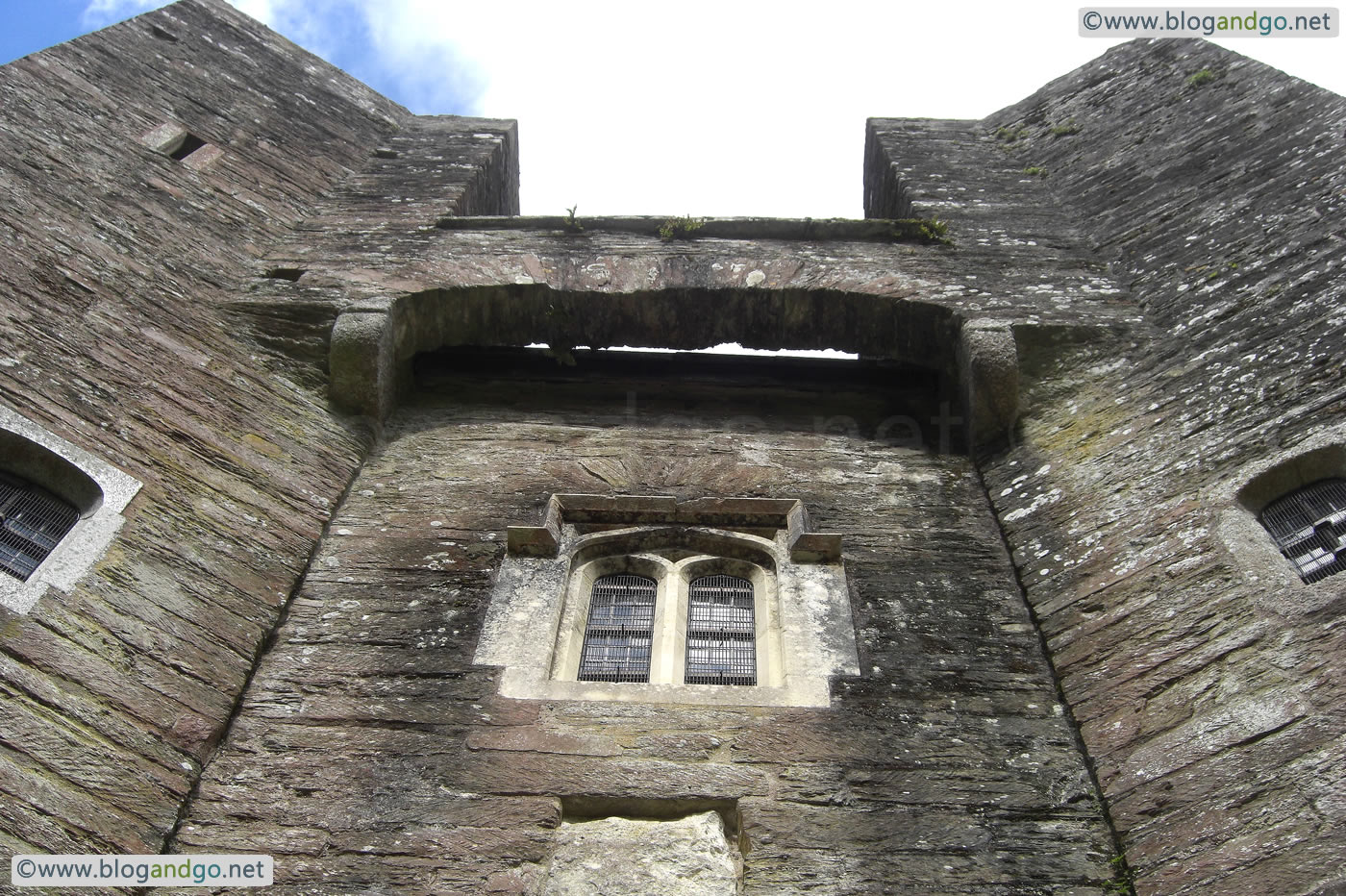 Berry Pomeroy Castle - Brattice